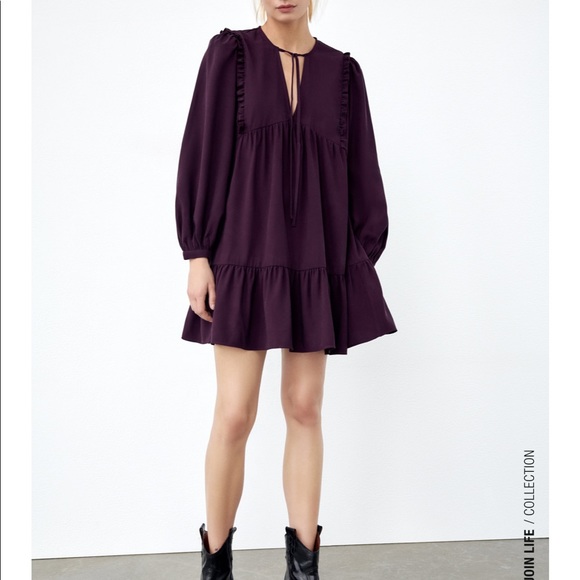 Zara Pleated Dress - Picture 1 of 10